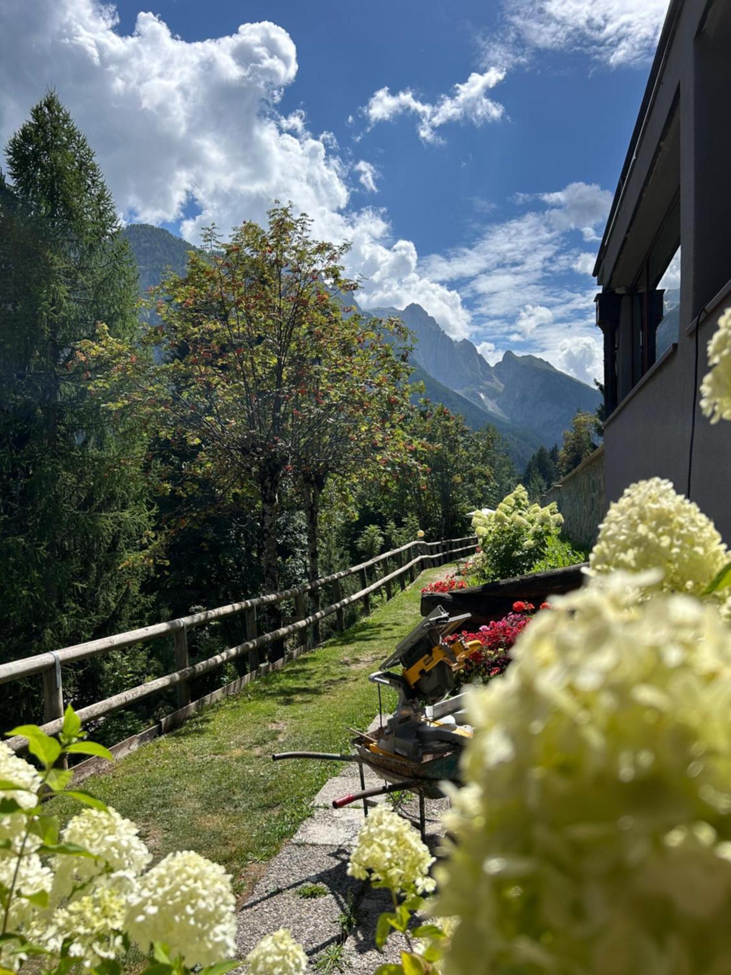 Residence Larici Belvedere Folgarida Exteriér fotografie